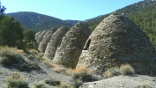 PICTURES/Charcoal Kilns/t_Kilns3.JPG